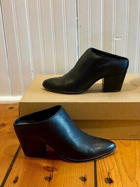 Dolce Vita Roya Black Leather Pointed Toe Mules, size 7
